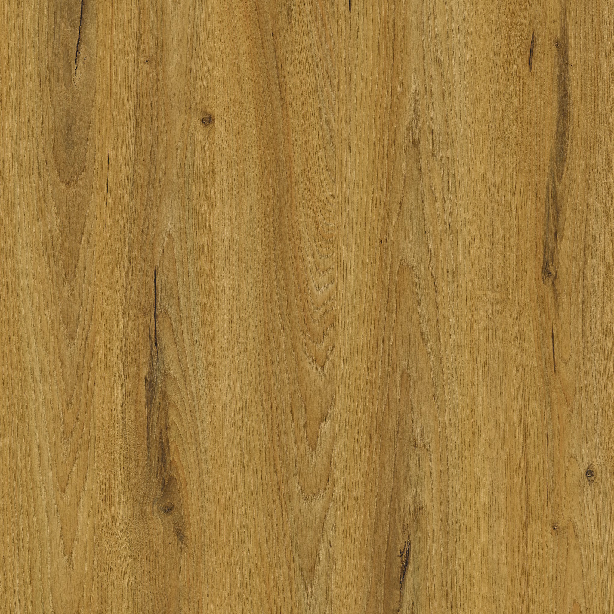 W522 balmoral oak