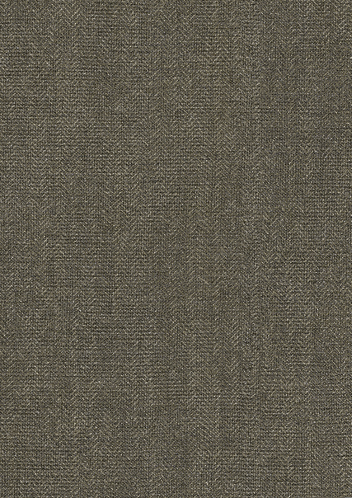 TURTLE TWEED