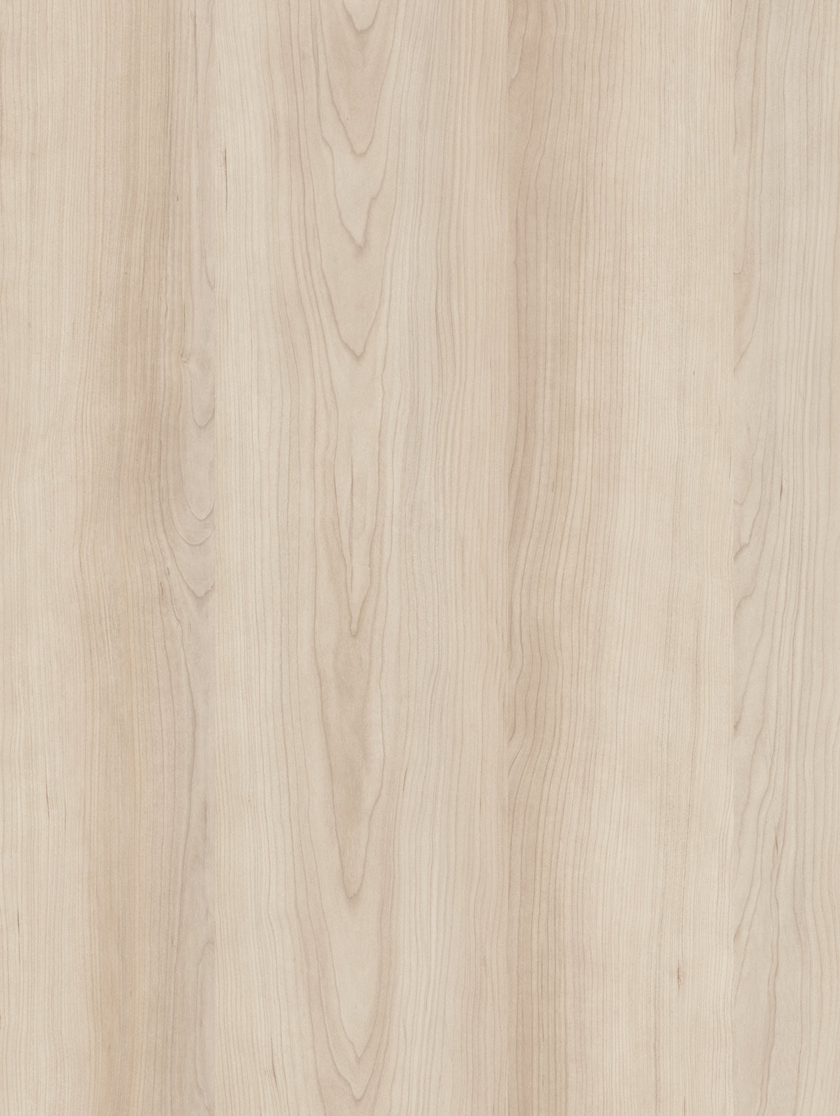 WHITE CHERRY