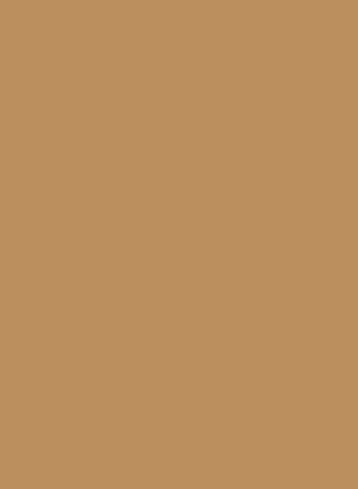206-01 Caramello