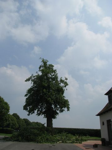 318_detail