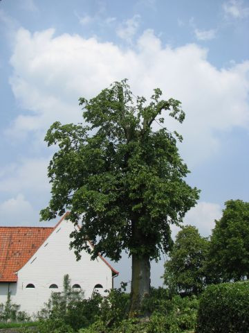 320_detail