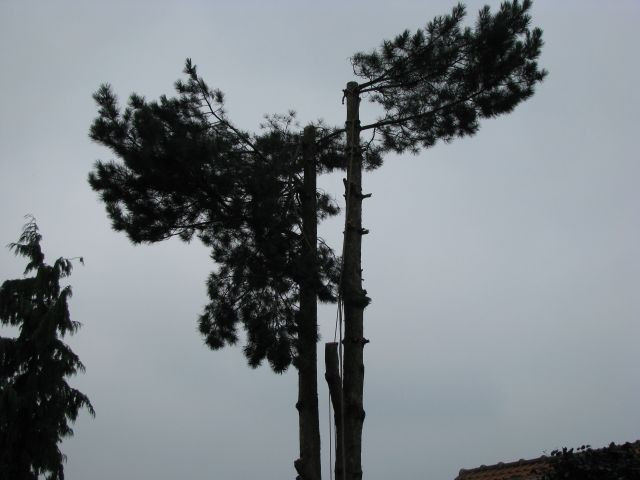 267_detail