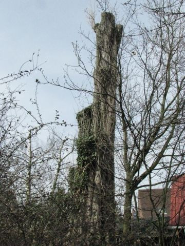 178_detail