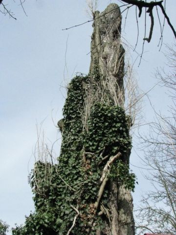 181_detail