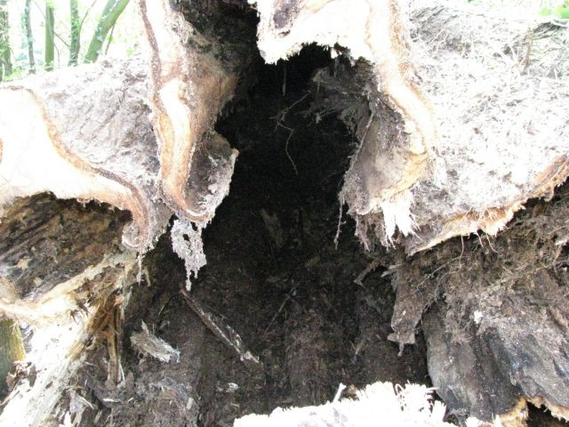 186_detail
