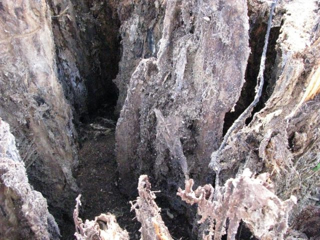 187_detail