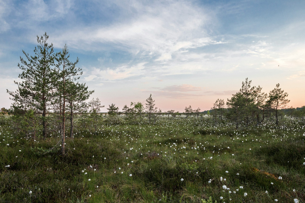 Braakliggende grond