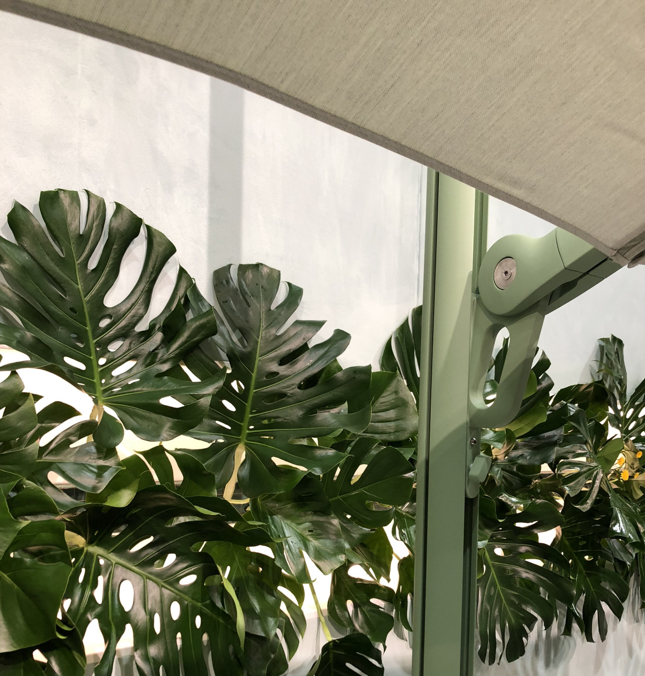 Umbrosa parasol uni colour green @Interieur Umbrosa parasols Interieur6