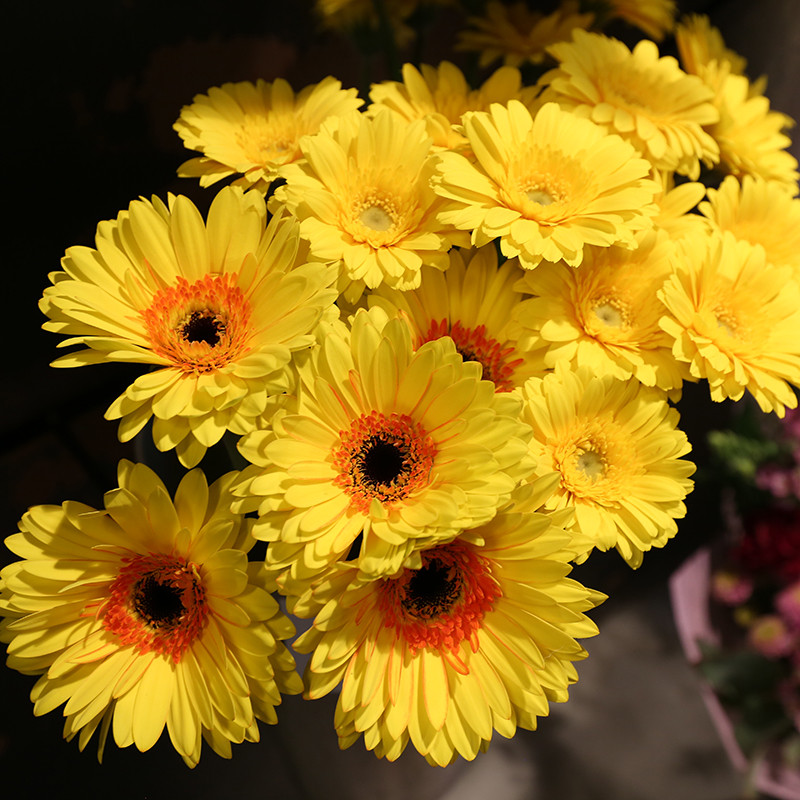 Bloemen zijn het mooiste geschenk | Vanallemeersch-Deraedt