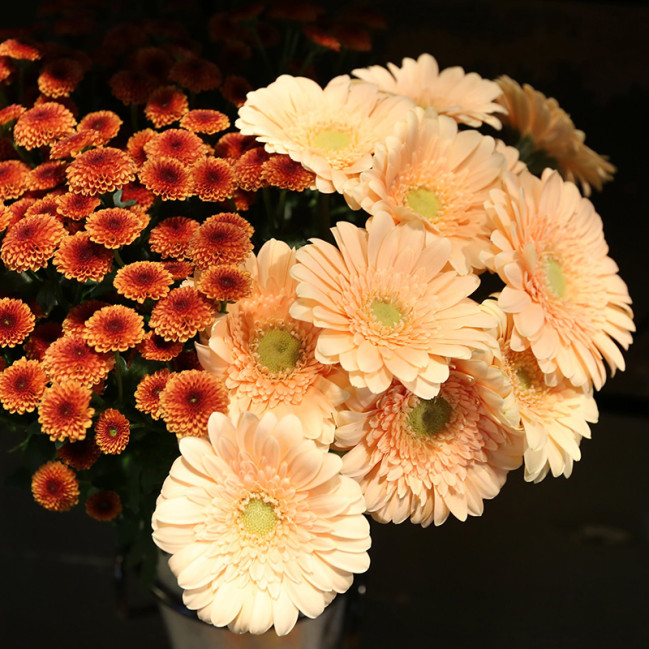 Bloemen zijn het mooiste geschenk | Vanallemeersch-Deraedt