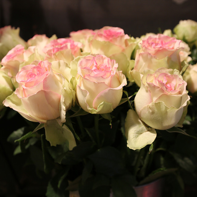 Bloemen zijn het mooiste geschenk | Vanallemeersch-Deraedt