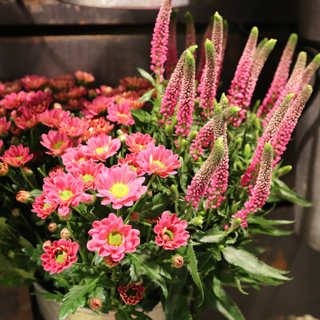 Bloemen zijn het mooiste geschenk | Vanallemeersch-Deraedt