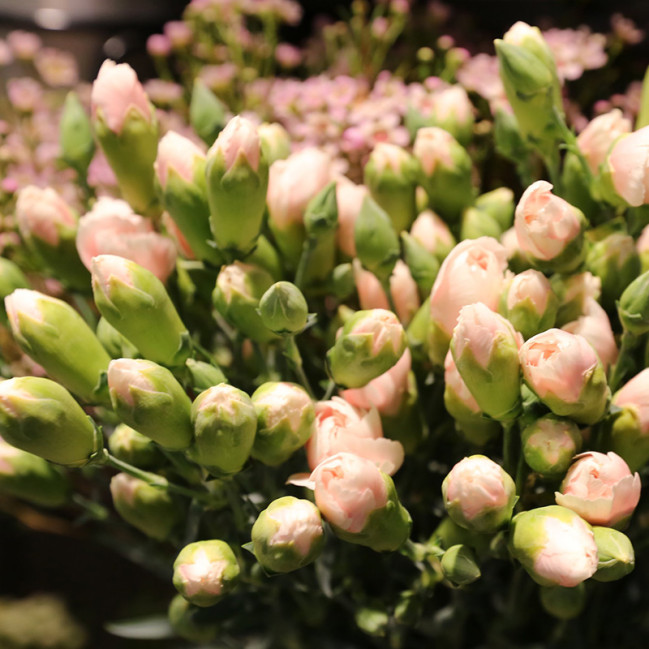 Bloemen zijn het mooiste geschenk | Vanallemeersch-Deraedt