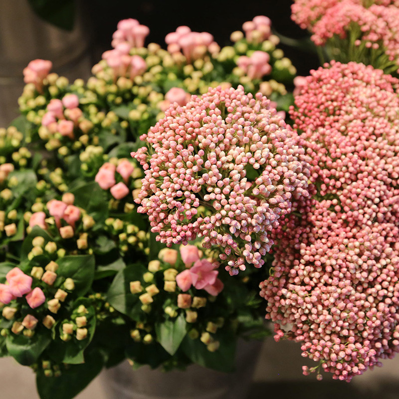 Bloemen zijn het mooiste geschenk | Vanallemeersch-Deraedt