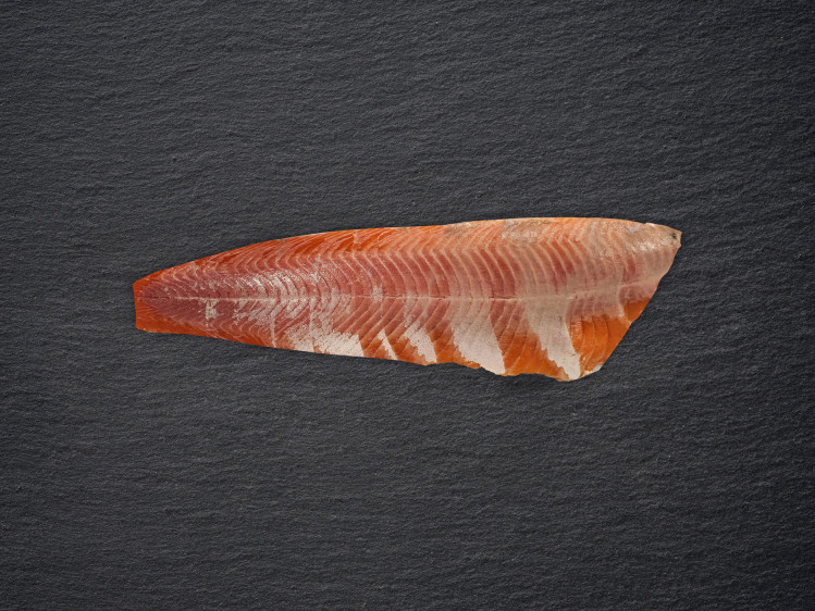 Onze Steelhead forel wordt lokaal en duurzaam gekweekt in Beernem. Steelhead forel is vergelijkbaar met zalm en riddervis en is zeer smaakvol door zijn volledig natuurlijke voeding. Hij is zeer vast van vlees en kan gebruikt worden om zowel te roken, drogen als te bakken. Anders dan klassieke forellen en vergelijkbaar met zalm, maakt het feit dat hij trekt van zoet naar zout water een groot verschil in de voeding en leefomgeving van de forel, wat een groot effect heeft op de smaak en textuur.