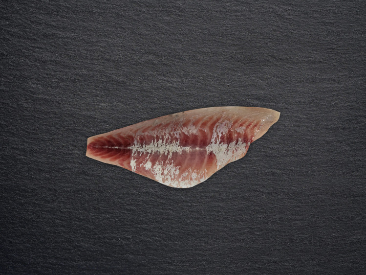 Onze dorade, ook bekend als goudbrasem, wordt gekweekt in netkooien in de Middelandse Zee. Dorade is een baarsachtige en heeft stevig wit vlees met een fijne, delicate smaak. De vis is herkenbaar aan de gouden boog tussen de ogen. Dorade is het hele jaar door stabiel beschikbaar, maar is het populairst in de zomer. Ze is dan ook een lieveling op de barbecue of in de oven met mediterrane kruiden en citroen.