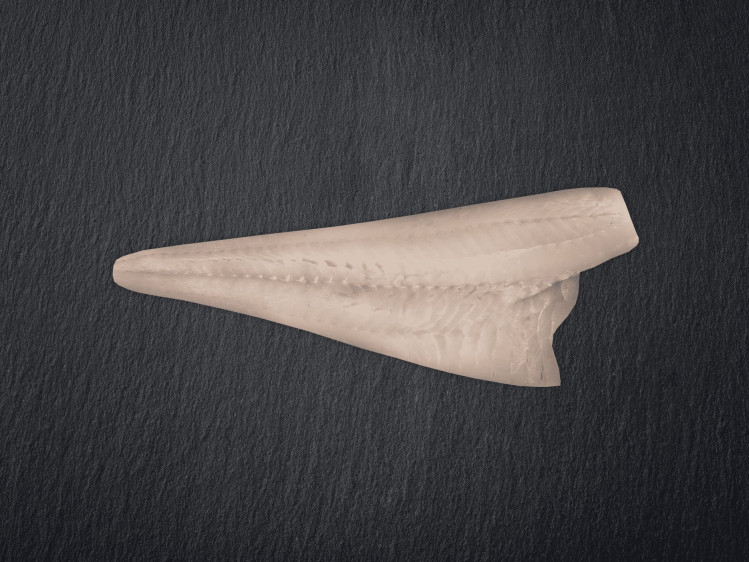 Onze kabeljauw wordt lijngevangen in de wilde, koude wateren in het Hoge Noorden. Kabeljauw is een favoriet in België vanwege zijn grote, witte en stevige filets. De vis heeft een milde, zoete smaak en is veelzijdig in gebruik. Hij is op z'n best tussen januari en april en wordt dan ook vaak gevangen, met goedkope prijzen als gevolg.