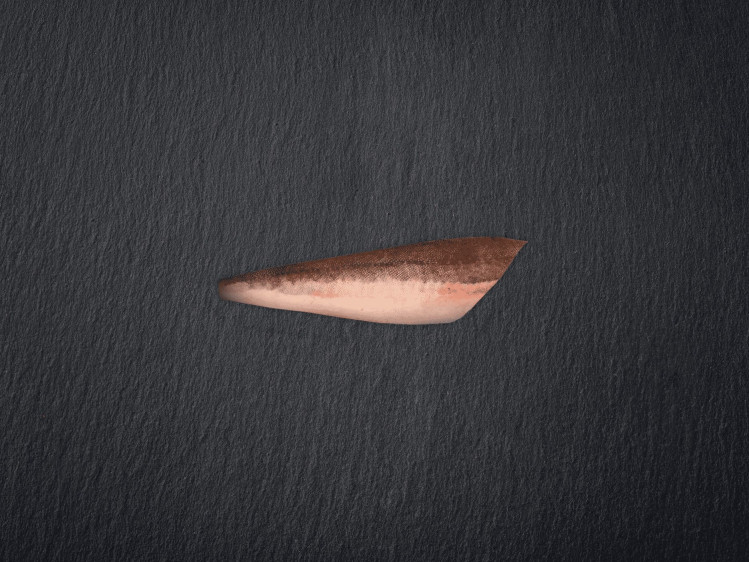 Onze rode poon wordt uitsluitend gevangen door Belgische vissers aan de kust van de Noordzee. Deze vis kan zowel flyshoot als via sleepnetten opgevist worden. Rode Poon heeft een stevige textuur en een zoete, delicate smaak. Deze kleurrijke vis met roodachtige tinten is visueel aantrekkelijk. Rode poon wordt ook vaak Knorhaan genoemd, vanwege het geluid dat hij maakt in de zee.