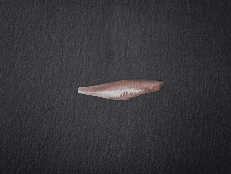 Onze rode poon wordt uitsluitend gevangen door Belgische vissers aan de kust van de Noordzee. Deze vis kan zowel flyshoot als via sleepnetten opgevist worden. Rode Poon heeft een stevige textuur en een zoete, delicate smaak. Deze kleurrijke vis met roodachtige tinten is visueel aantrekkelijk. Rode poon wordt ook vaak Knorhaan genoemd, vanwege het geluid dat hij maakt in de zee.
