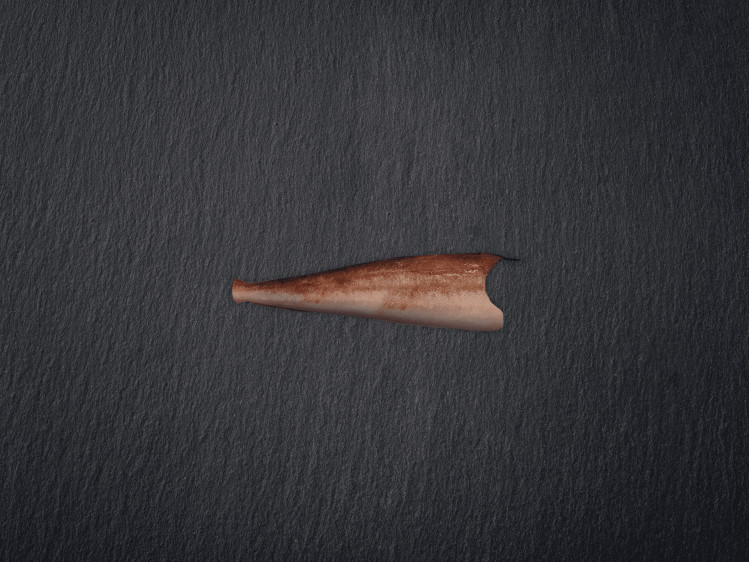Onze rode poon wordt uitsluitend gevangen door Belgische vissers aan de kust van de Noordzee. Deze vis kan zowel flyshoot als via sleepnetten opgevist worden. Rode Poon heeft een stevige textuur en een zoete, delicate smaak. Deze kleurrijke vis met roodachtige tinten is visueel aantrekkelijk. Rode poon wordt ook vaak Knorhaan genoemd, vanwege het geluid dat hij maakt in de zee.