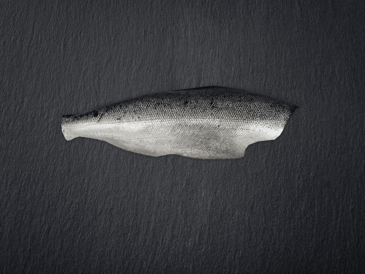 Onze zalm wordt gekweekt in netkooien tussen de wilde Fjorden in het noorden van Noorwegen. Daar krijgen ze veel weerstand van de zee met een stevig en smeuïg vlees als gevolg. Zalm is een forelachtige en wordt gebruikt in een breed scala aan gerechten. Hij kan gegrild, gebakken, gerookt of rauw in sushi en sashimi gegeten worden. Populair voor zowel dagelijkse maaltijden als feestelijke gelegenheden.