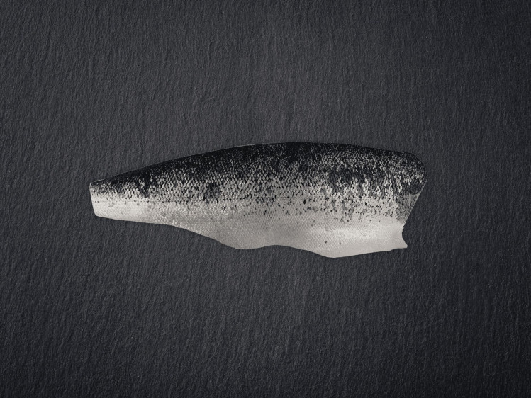Onze zalm wordt gekweekt in netkooien tussen de wilde Fjorden in het noorden van Noorwegen. Daar krijgen ze veel weerstand van de zee met een stevig en smeuïg vlees als gevolg. Zalm is een forelachtige en wordt gebruikt in een breed scala aan gerechten. Hij kan gegrild, gebakken, gerookt of rauw in sushi en sashimi gegeten worden. Populair voor zowel dagelijkse maaltijden als feestelijke gelegenheden.