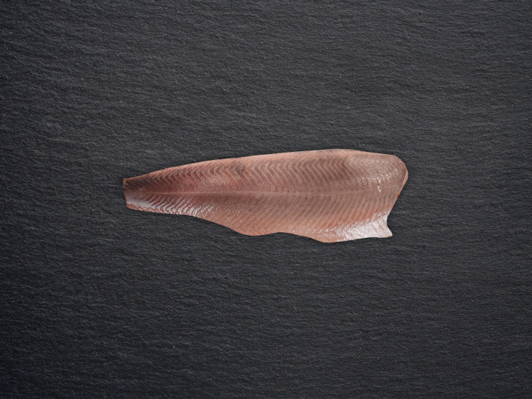 Onze zalm wordt gekweekt in netkooien tussen de wilde Fjorden in het noorden van Noorwegen. Daar krijgen ze veel weerstand van de zee met een stevig en smeuïg vlees als gevolg. Zalm is een forelachtige en wordt gebruikt in een breed scala aan gerechten. Hij kan gegrild, gebakken, gerookt of rauw in sushi en sashimi gegeten worden. Populair voor zowel dagelijkse maaltijden als feestelijke gelegenheden.