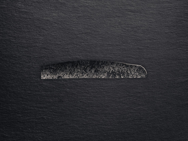 Onze zalm wordt gekweekt in netkooien tussen de wilde Fjorden in het noorden van Noorwegen. Daar krijgen ze veel weerstand van de zee met een stevig en smeuïg vlees als gevolg. Zalm is een forelachtige en wordt gebruikt in een breed scala aan gerechten. Hij kan gegrild, gebakken, gerookt of rauw in sushi en sashimi gegeten worden. Populair voor zowel dagelijkse maaltijden als feestelijke gelegenheden.