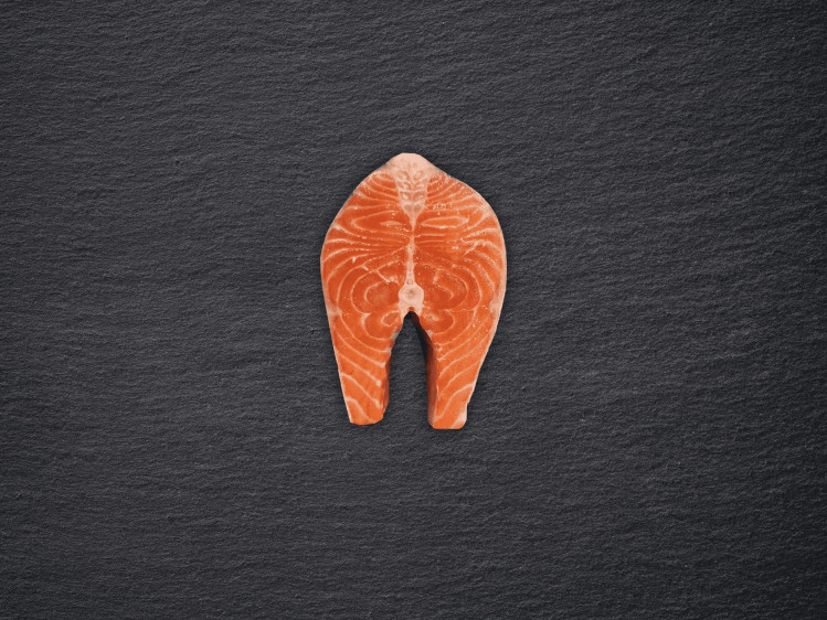 Onze zalm wordt gekweekt in netkooien tussen de wilde Fjorden in het noorden van Noorwegen. Daar krijgen ze veel weerstand van de zee met een stevig en smeuïg vlees als gevolg. Zalm is een forelachtige en wordt gebruikt in een breed scala aan gerechten. Hij kan gegrild, gebakken, gerookt of rauw in sushi en sashimi gegeten worden. Populair voor zowel dagelijkse maaltijden als feestelijke gelegenheden.